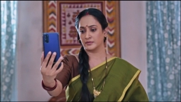 Apollena - 24th February 2025